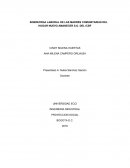 PROYECTO PROYECCION SOCIAL SOBRECRGA LABORAL DE LAS MADRES COMUNITARIAS DEL HOGAR NUEVO AMANECER S.O. DEL ICBF