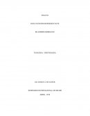 Ensayo: Cristologico