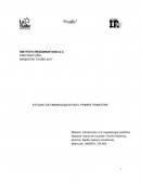 INVESTIGACIÓN INTRODUCCIÓN