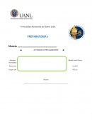 Actividad Integradora Aristoteles, Newton