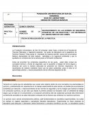 QUIMICA AUDITORIA PARA LA SEGURIDAD INDUSTRIAL DE UNA EMPRESA (MAYURSE S.A. DE C.V.-PEMEX).