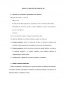Estructura tesis Detectar una necesidad u oportunidad en la industria.