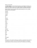 Redes sociales ¿Qué es una red social?