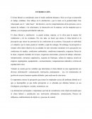 Psicologia laboral introduccion