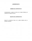 Anteproyecto Comisionamiento y puesta en marcha de la Caldera Didáctica del Laboratorio de Ingeniera Química.