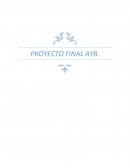Proyecto final de A y B