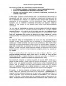 Matriz efe efi galletas energeticas