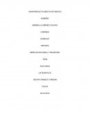 Acta notarial de venta de casa