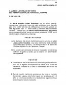 Como se da un buen Amparo