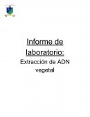 Material de apoyo Informe de laboratorio: Extracción de ADN vegetal