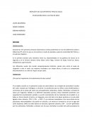 Informe de suelos EN RELACION CON EL CULTIVO DE MAIZ