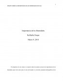 Cual es la importancia de los humedales en cali