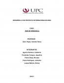 Caso Ron Venezuela DESARROLLO DE PROYECTO INTERNACIONALES-NX84