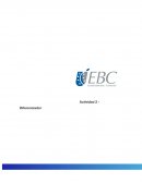 Identifica, a partir del análisis de la industria a la que pertenece el proyecto seleccionado,