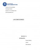 Como se dan las mejores Las Emociones