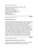 CAPS: Forma corta 2015, C. Roy