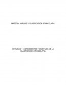 Actividad Antecedentes y objetivos de la clasificación arancelaria