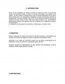 INFORME EJECUTIVO DE ILUMINACION