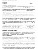 PROBLEMAS DE CALOR ESPECÍFICO