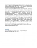 UNA GRAN INVESTIGACIÓN_MÉTODO CIENTÍFICO Y SUS ETAPAS