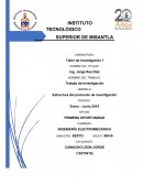 Como se da la Estructura del protocolo de investigación