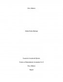 Peso y Balance - Actividad