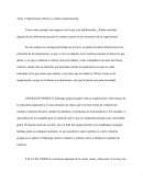 Tarea 1 Organizacion efectiva y cultura organizacional