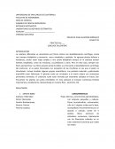 Dilleniidae LABORATURIO DE BOTANICA SISTEMATICA