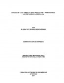 ESTUDIO DE CASO SOBRE CALIDAD, PRODUCCIÓN Y PRODUCTIVIDAD
