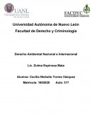 Bases constitucionales del Derecho ambiental en México.