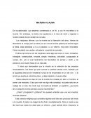 ENSAYO DE LA MATERIA O ALMA
