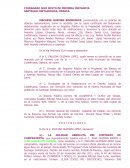 Como se da el Modelo de demanda de nulidad