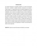 Un buen Calculo de la razon finaciera por actividad