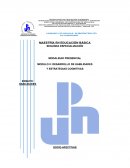 Proyecto educacional DESARROLLO DE HABILIDADES