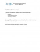 Ejemplo de los Sistemas y Organizaciones