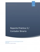 Practica 3 Contador Binario