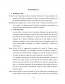 SUKA KOLLUS INTRODUCCIÓN