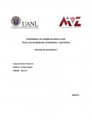 UNIVERSIDAD AUTONOMA DE NUEVO LEON FACULTAD DE MEDICINA VETERINARIA Y ZOOTECNIA