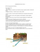 ¿Que es el suelo? Es una fina capa de materiales que se encuentran sobre parte de la corteza