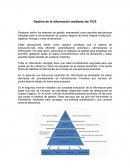 Gestión de la información mediante las TICS