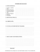 INFORME PSICOLOGICO - RESUMEN