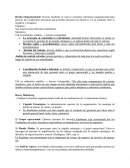 Diseno organizacional Útil en ambientes estables → marcas consagradas,