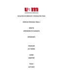 Ensayo de aprension flagancia FACULTAD DE DERECHO Y CIENCIAS POLITICAS