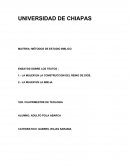 ENSAYOS SOBRE LOS TEXTOS :