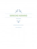 Texto paralelo derecho agrario