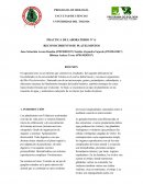 PRACTICA DE LABORATORIO Nº 4: RECONOCIMIENTO DE PLATELMINTOS