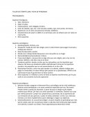 TALLER DE STORYTELLING: FICHA DE PERSONAJE