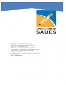 ¿Cuál es mi destino final del viaje?