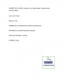 Prefiere el Sistema Tradicional o el Nuevo Sistema y por qué?.