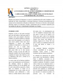 INFORME REALIZADO - LA BALANZA ANALÍTICA